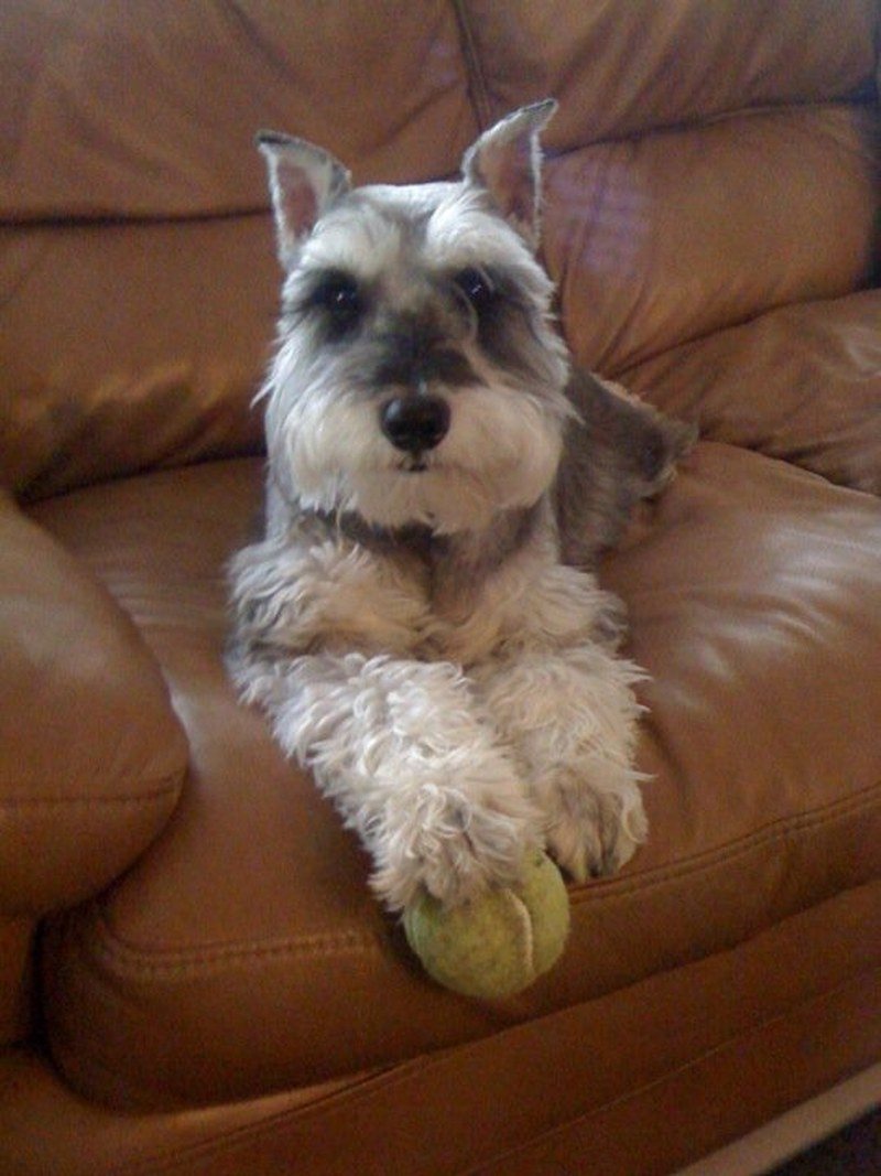 Love To Play
