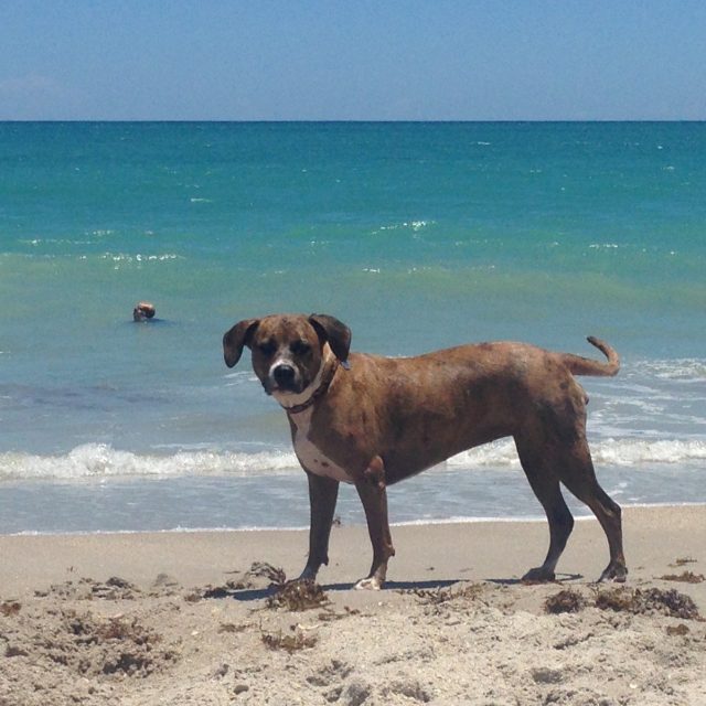 I Love Vero Beach!