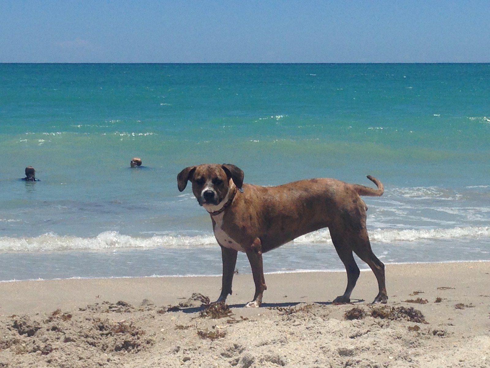 I Love Vero Beach!