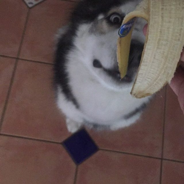 Snack Time