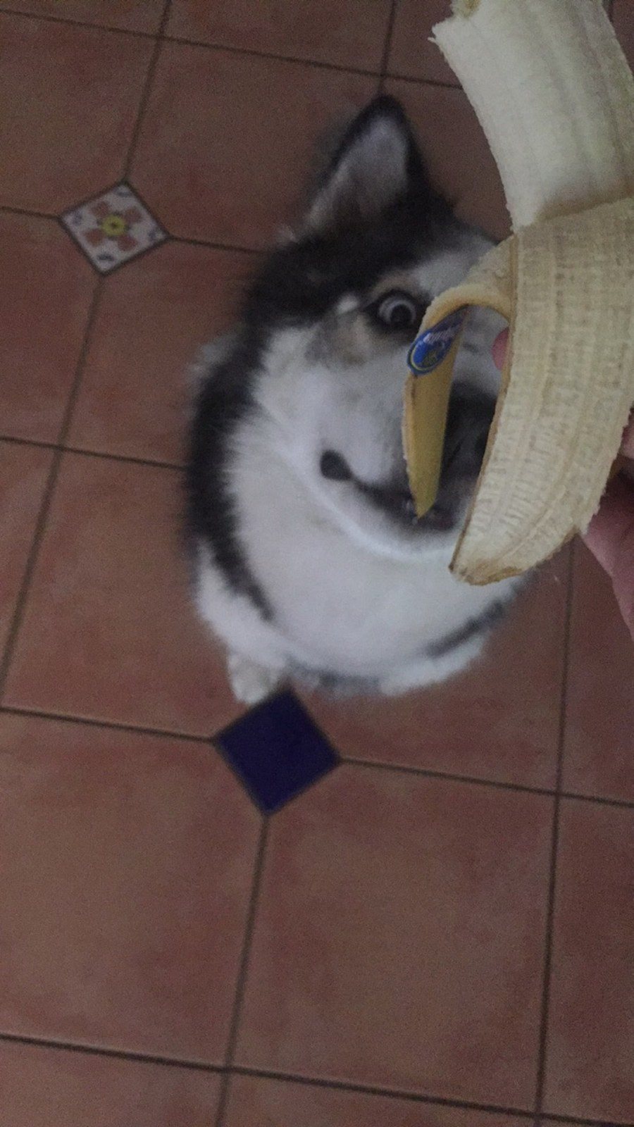 Snack Time