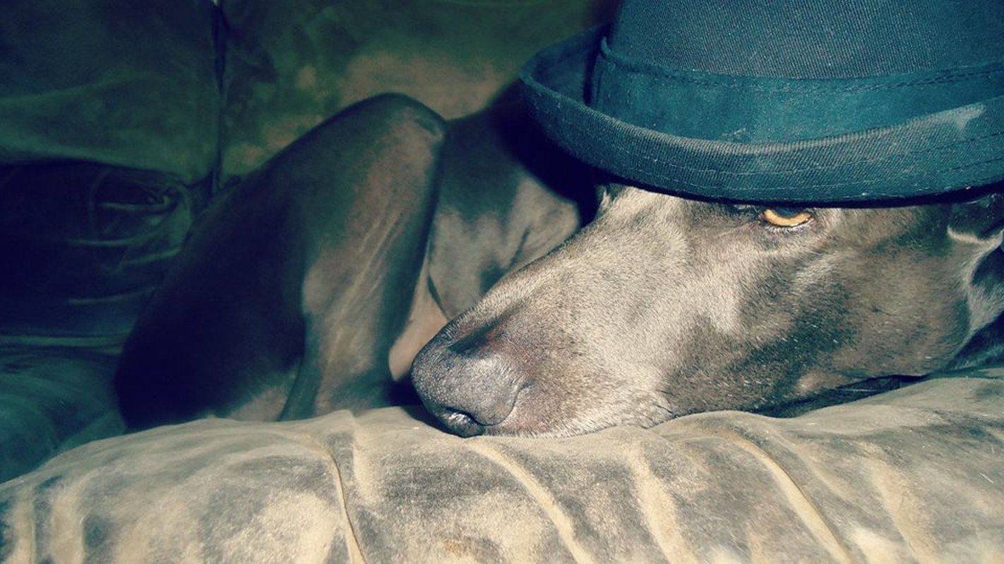 Mr Oakley In Style