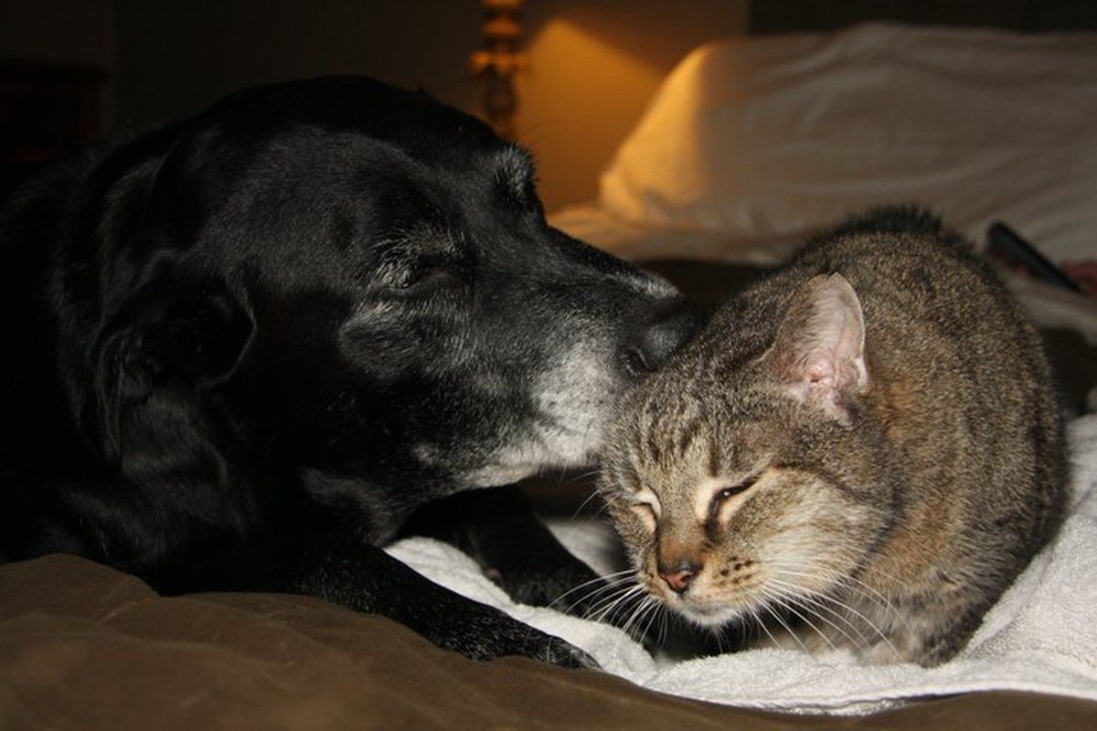 Old Friends