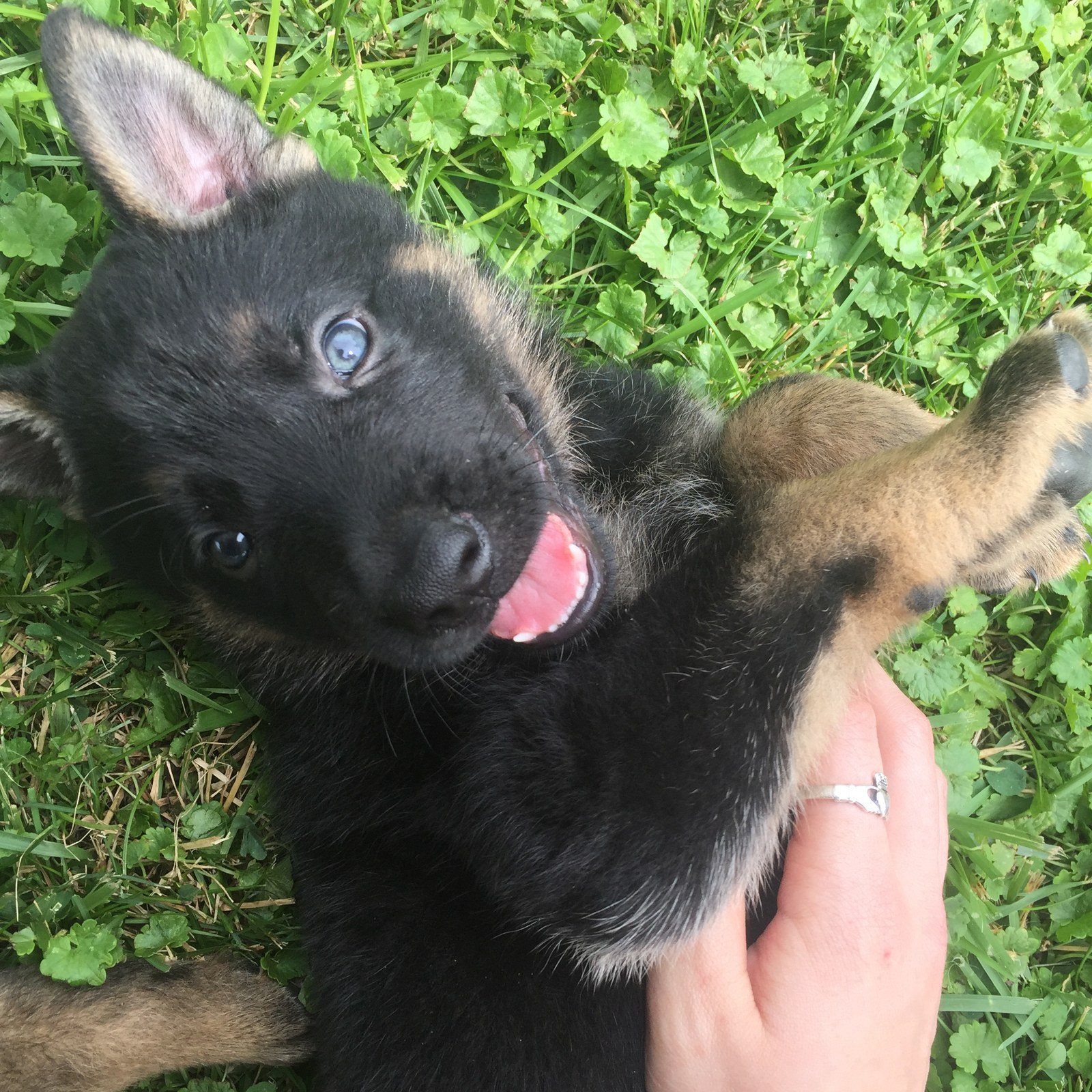 I Know I'm Cute