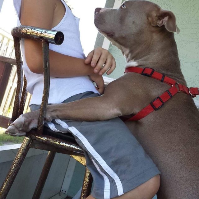 Captured Connections Between And His Dog