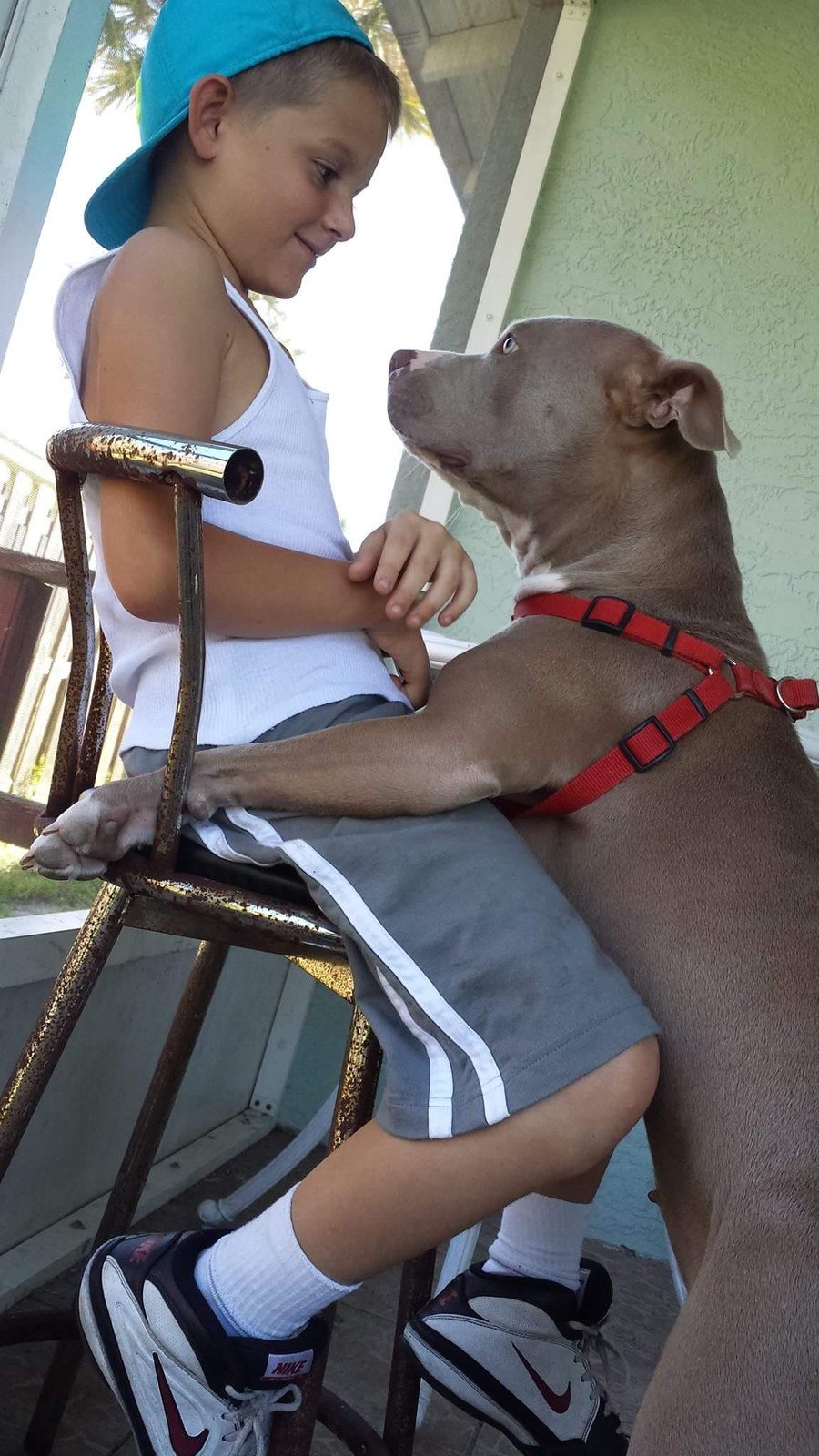 Captured Connections Between And His Dog