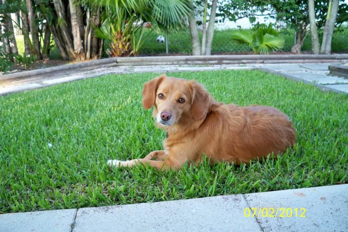 Life Is Easy In Vero Beach.