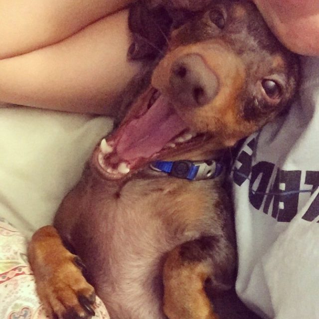 Monday's Are Ruff!!