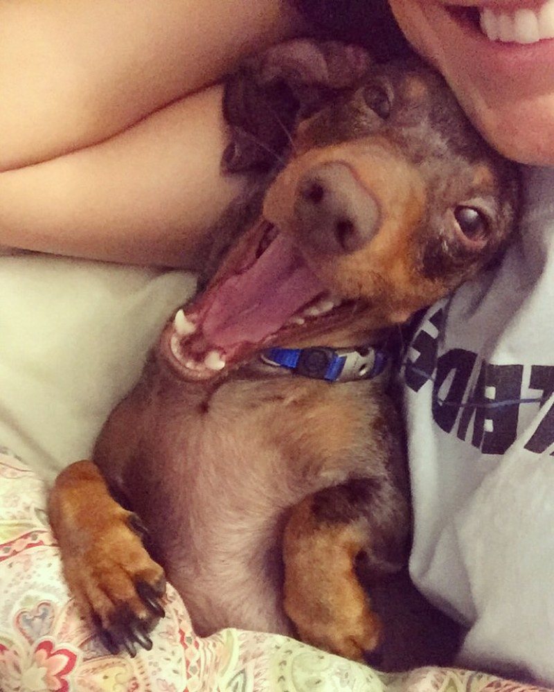 Monday's Are Ruff!!