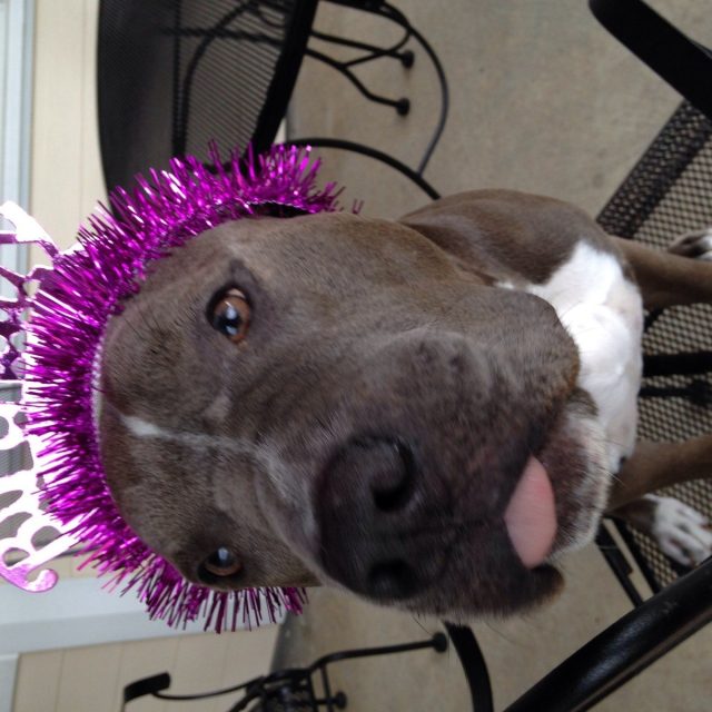 What Mya Thinks Of Birthdays!