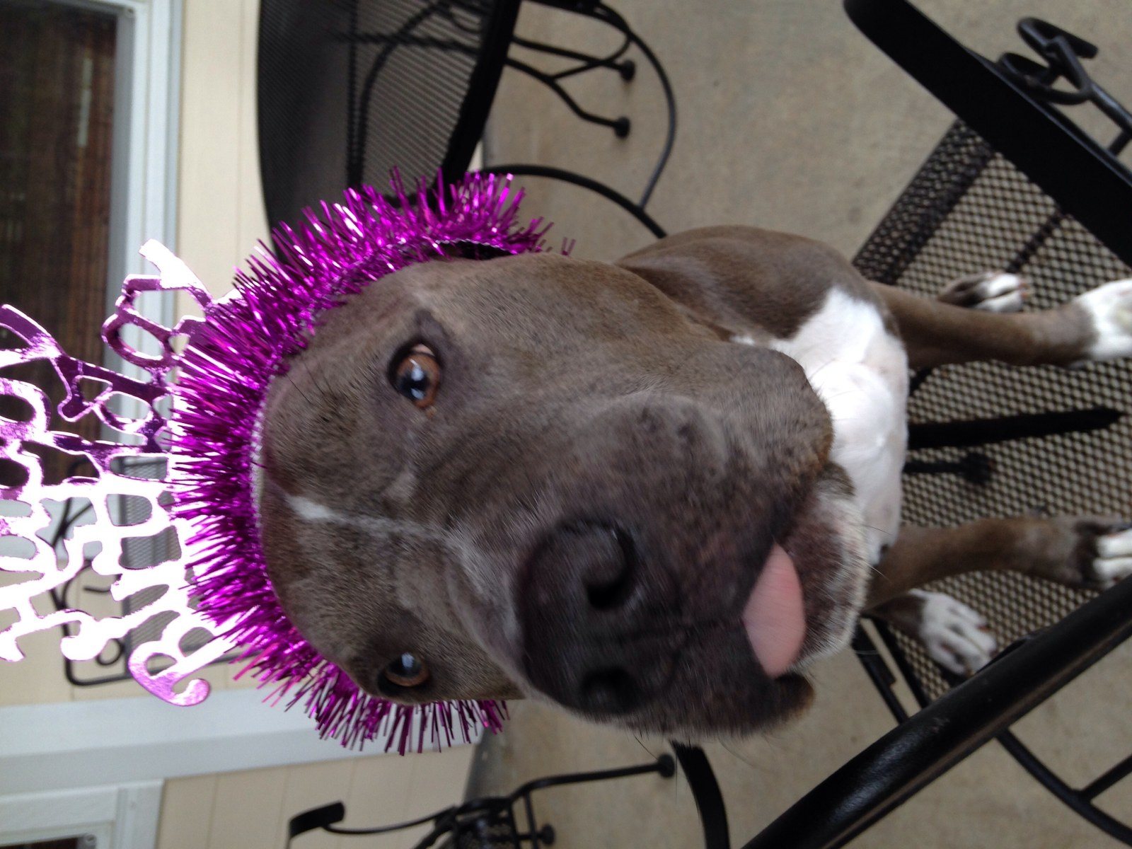 What Mya Thinks Of Birthdays!
