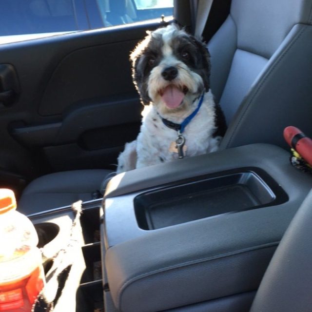 Please Take Me For A Ride