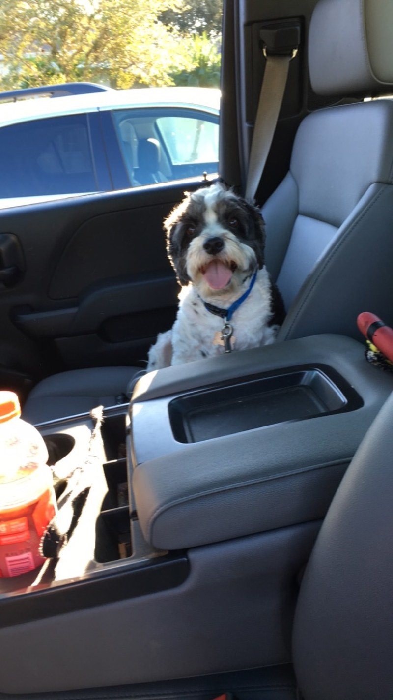 Please Take Me For A Ride