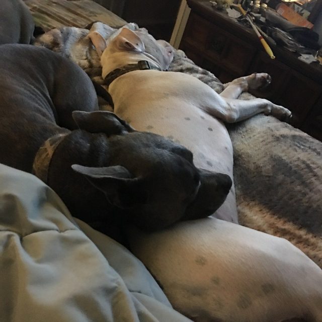 Brotherly Love!!