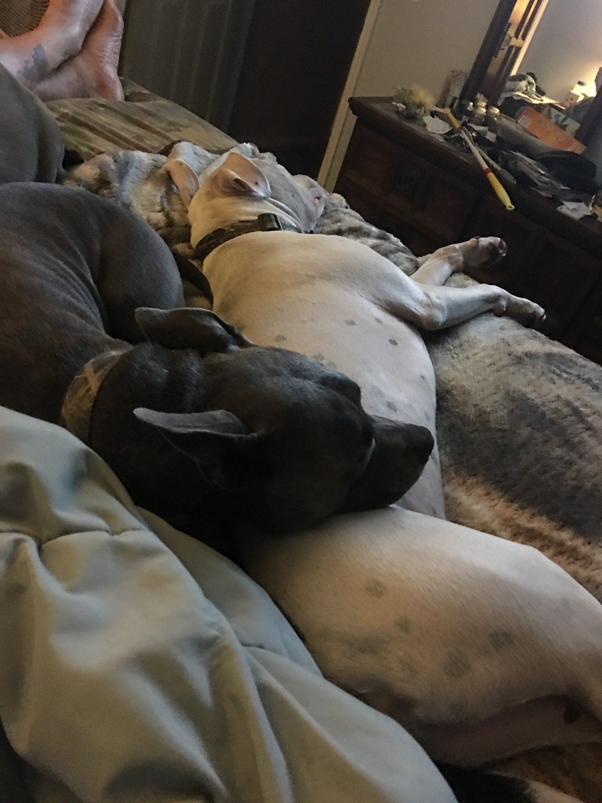 Brotherly Love!!