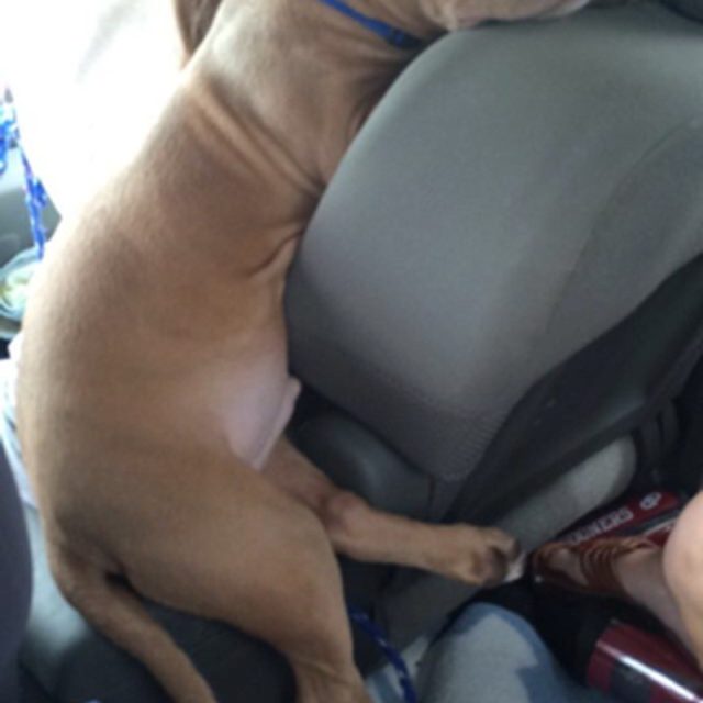 "i'll Just Sit Right Here,mom"