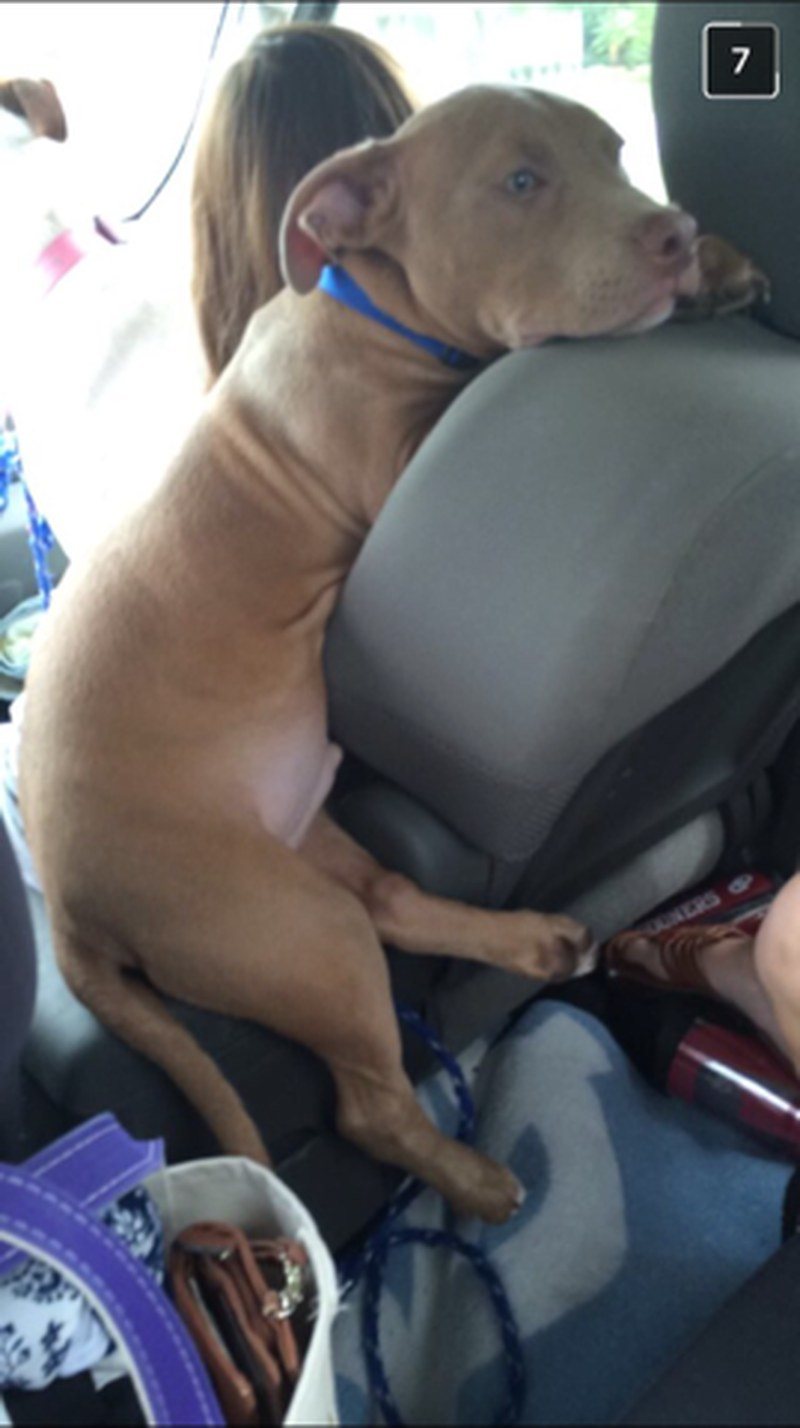 "i'll Just Sit Right Here,mom"