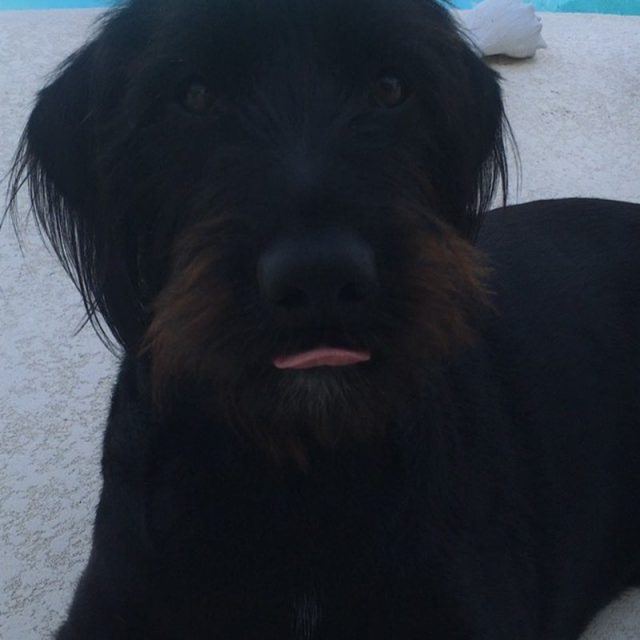 His Name Is Jango Fett