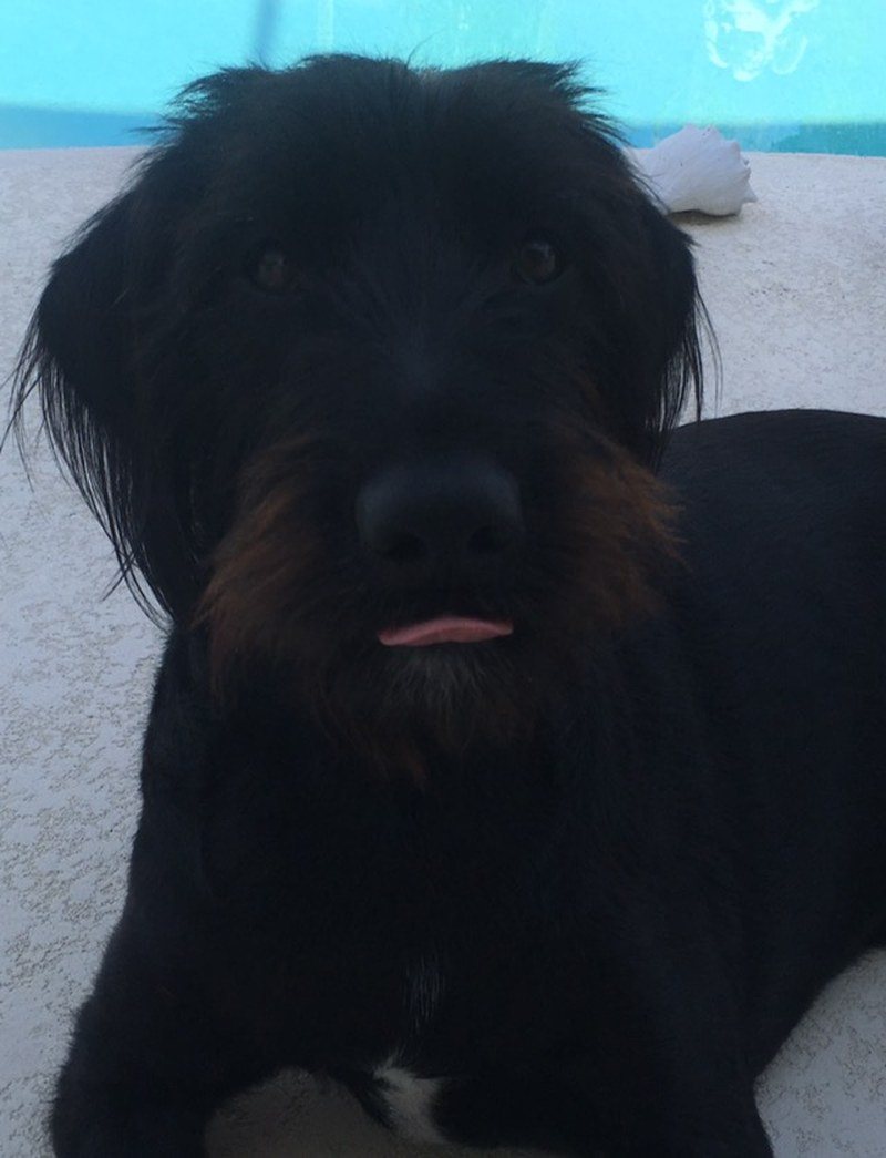 His Name Is Jango Fett