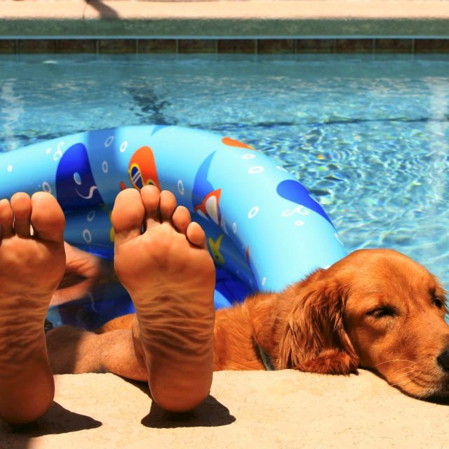 Cool In The Pool
