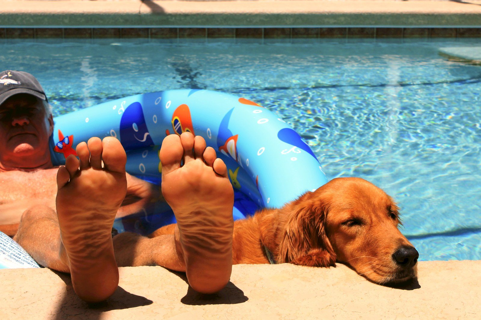 Cool In The Pool
