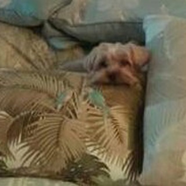 Time To Play Hide And Seek Mommy !