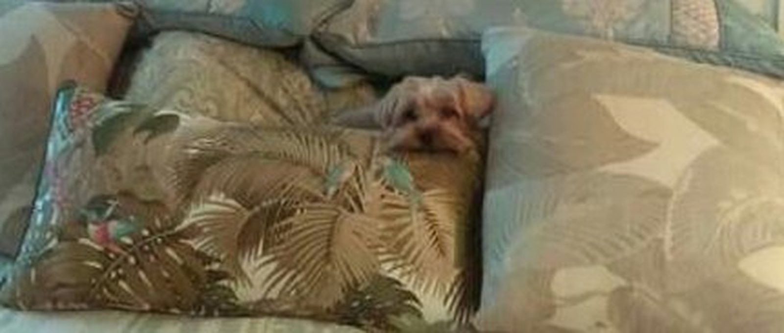 Time To Play Hide And Seek Mommy !