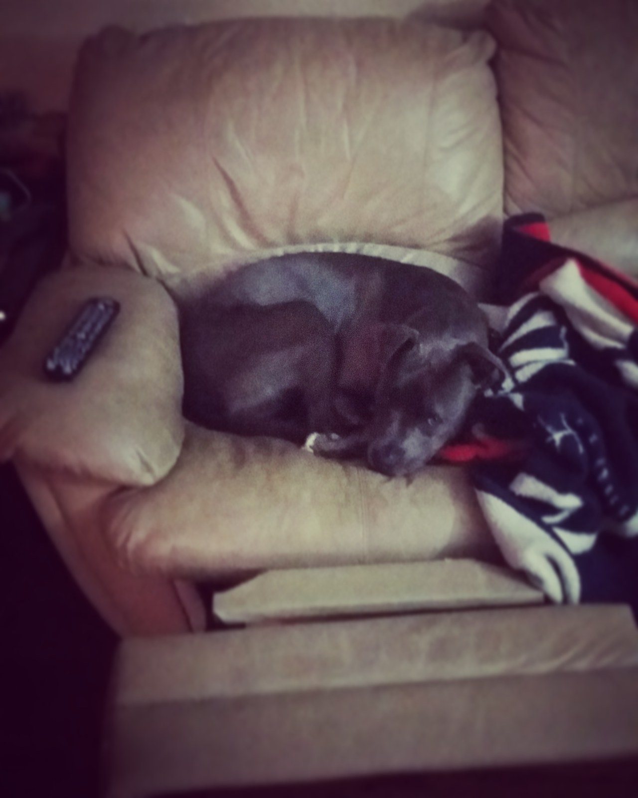 Thanks For Keeping My Seat Warm