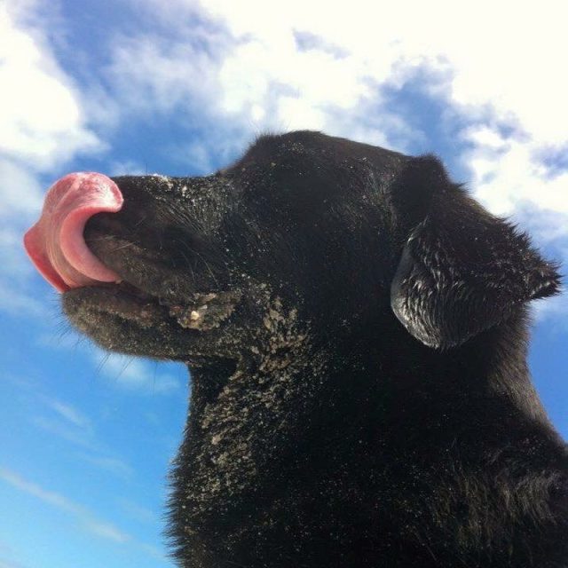 Melody Says, "Life's A Beach!"