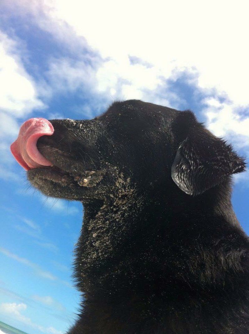 Melody Says, "Life's A Beach!"
