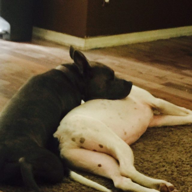Buddies!!