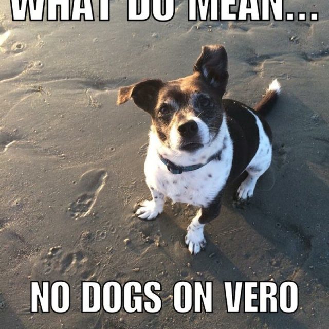 Arnie Enters The Strange World Of Dog Less Beaches!