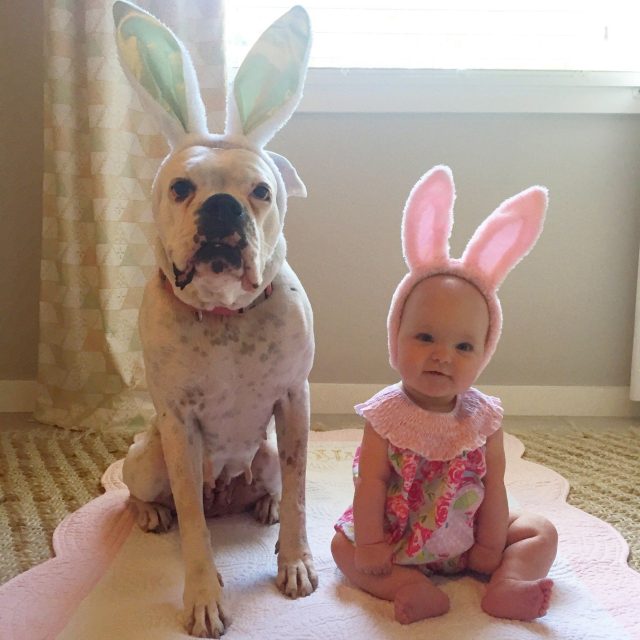 Best Bunnies