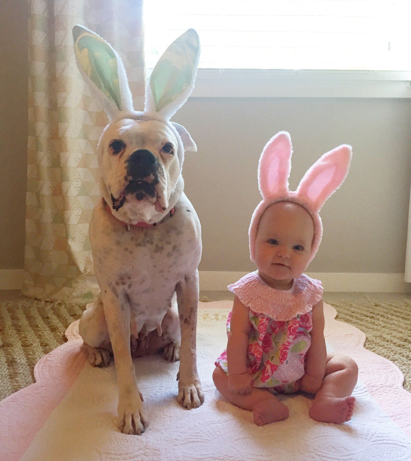 Best Bunnies