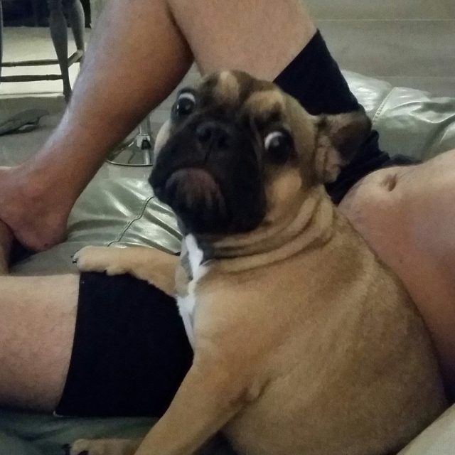 'He Snores More Then I Do, But I Love My Human'