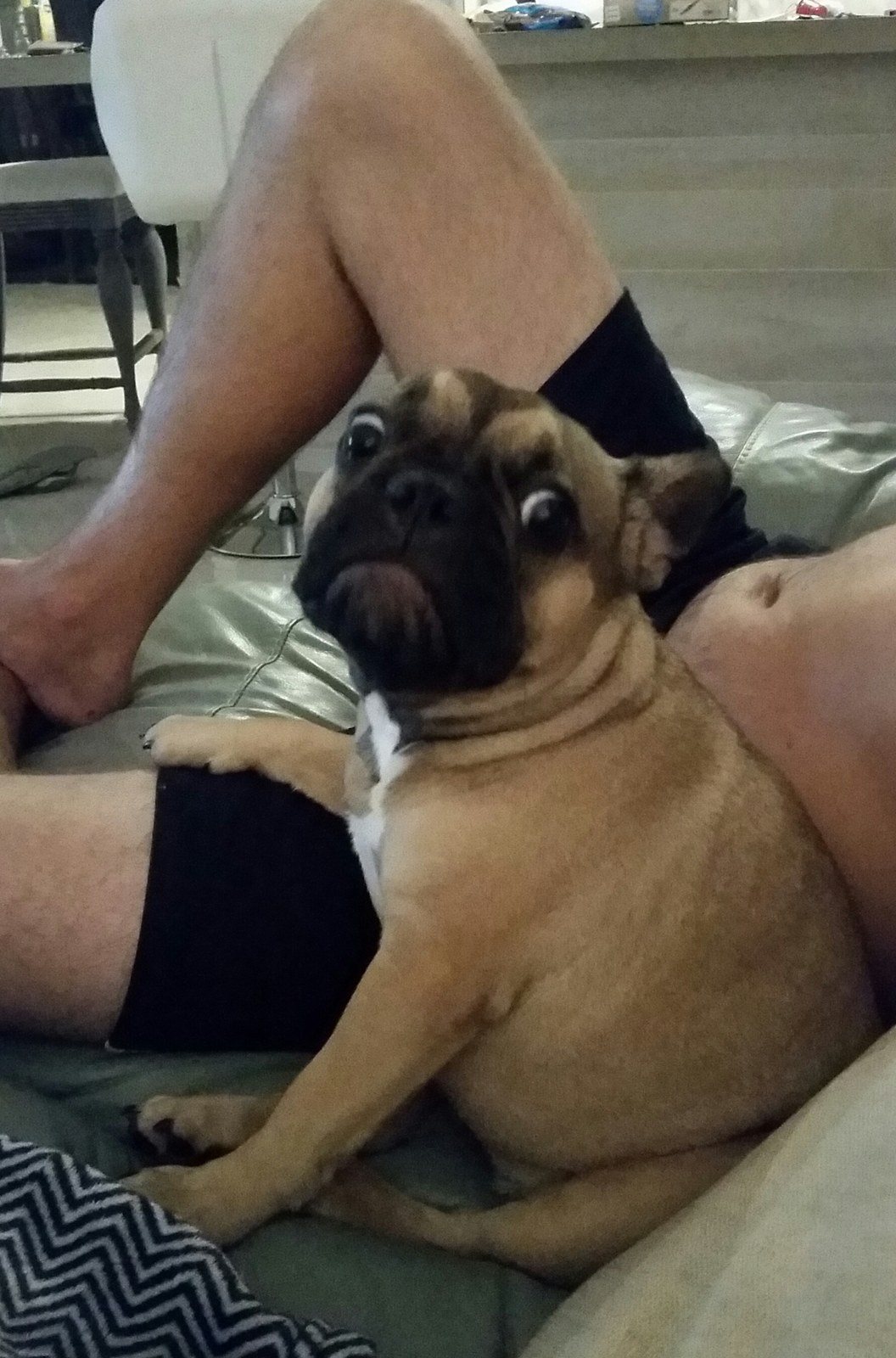'He Snores More Then I Do, But I Love My Human'