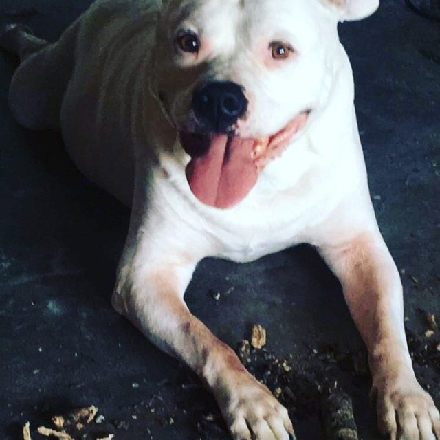 Smile For The Camera :)