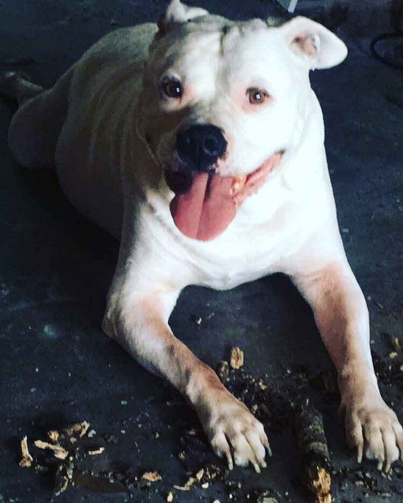 Smile For The Camera :)