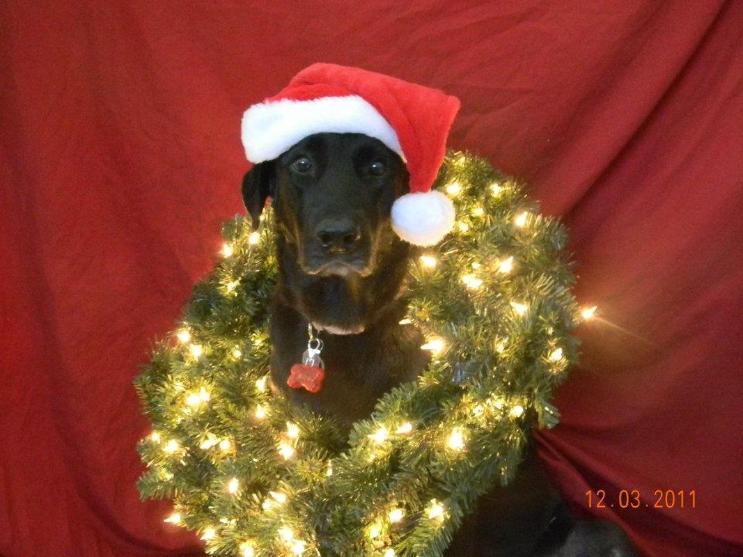 Christmas Time