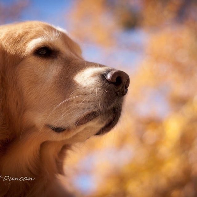 Logan Profile