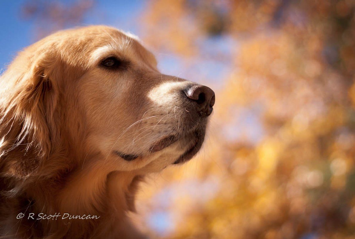 Logan Profile