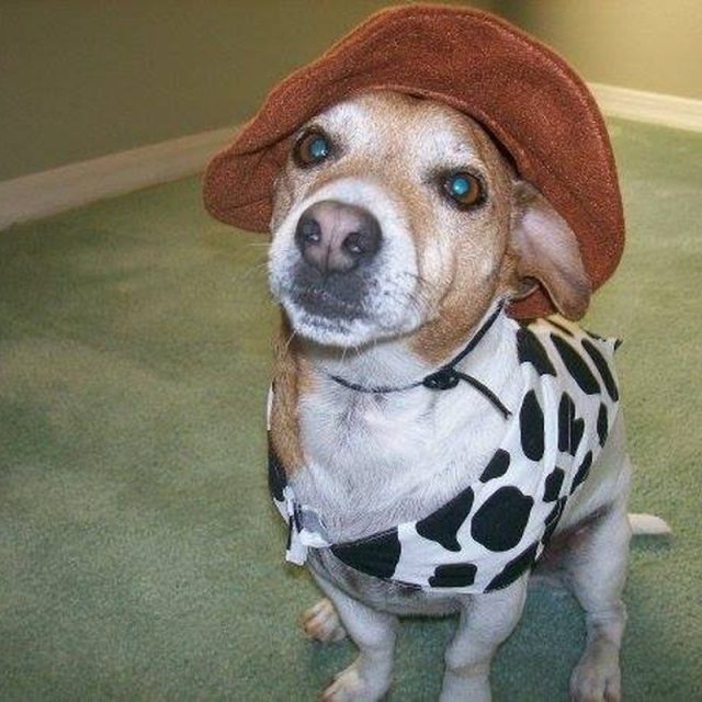 Fred The Cowboy