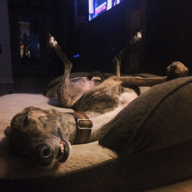 Hanging Out
