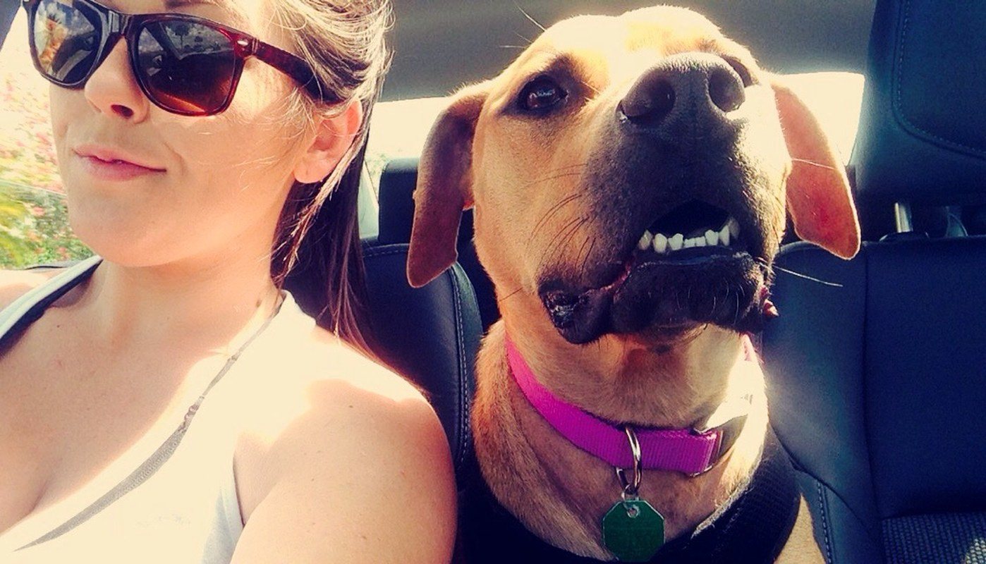 Shotgun Rider
