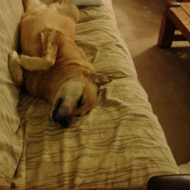 After A Hard Day!