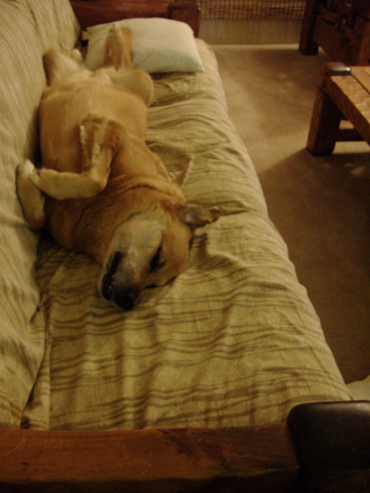 After A Hard Day!