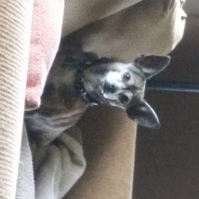 Why Must You Take Pictures Of Me?