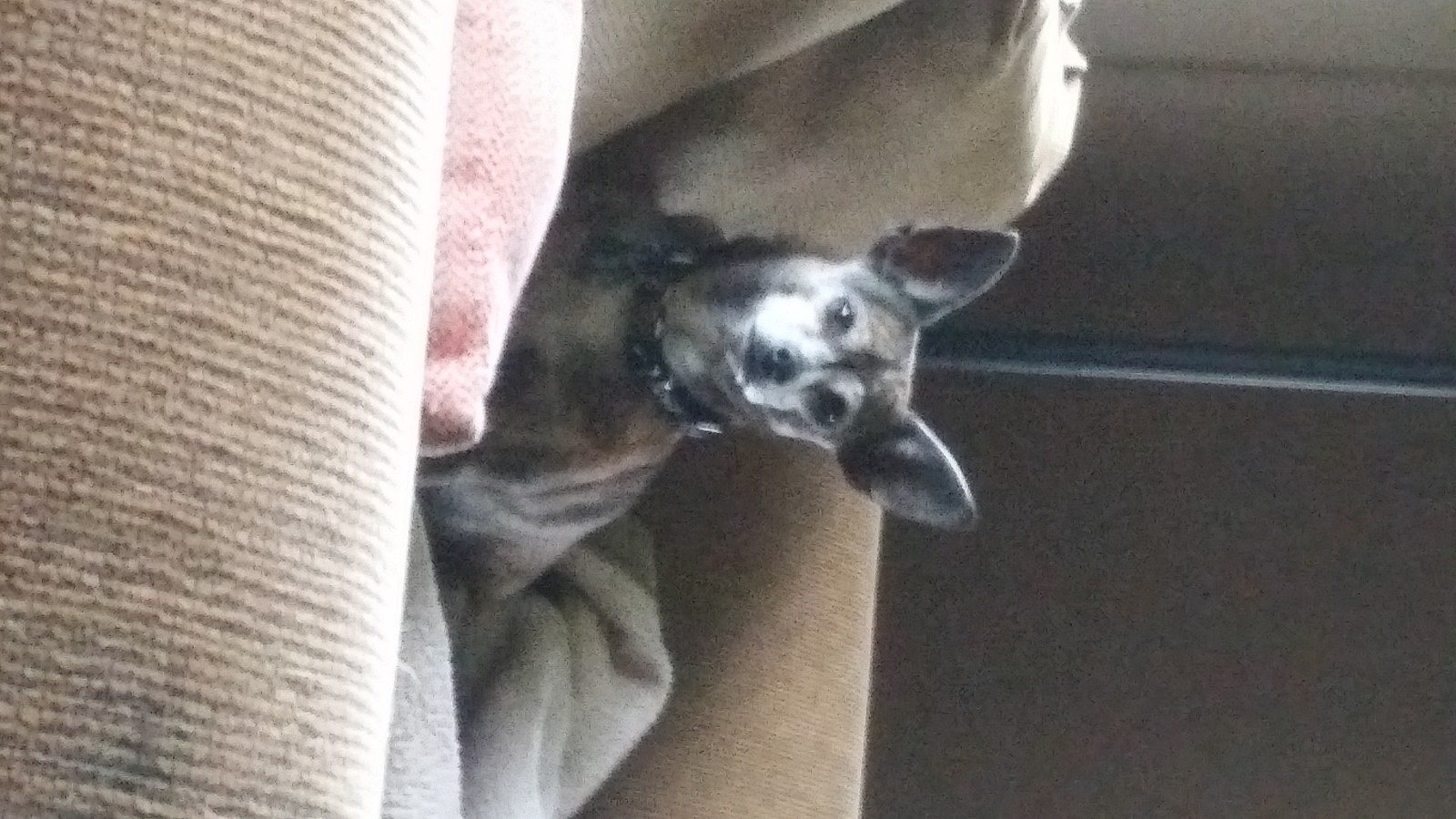 Why Must You Take Pictures Of Me?