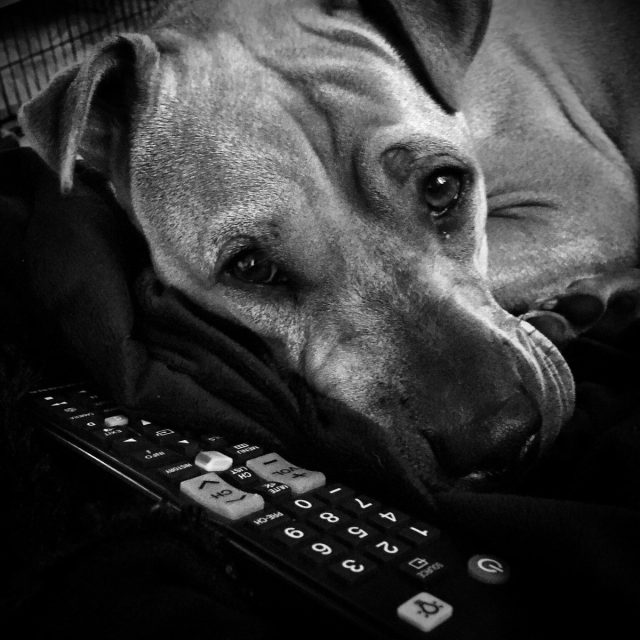 Netflix Kinda Night