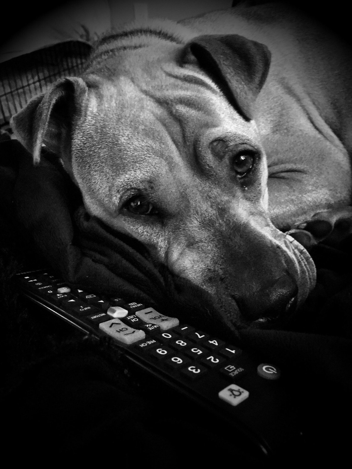 Netflix Kinda Night